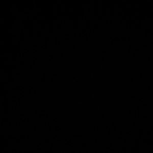 Meet your Posher, Tameisha